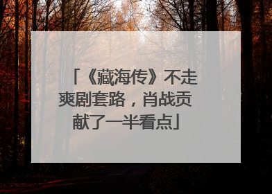 《藏海传》不走爽剧套路，肖战贡献了一半看点
