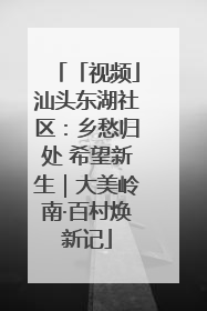 「视频」汕头东湖社区：乡愁归处 希望新生｜大美岭南·百村焕新记