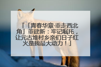 「青春华章·重走西北角」董建新：牢记嘱托，让元古堆村乡亲们日子红火是我最大动力！