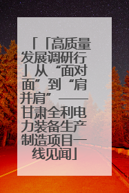 「高质量发展调研行」从“面对面”到“肩并肩”——甘肃全利电力装备生产制造项目一线见闻