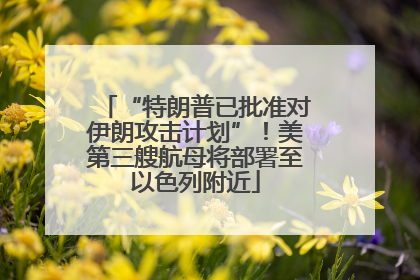 “特朗普已批准对伊朗攻击计划”！美第三艘航母将部署至以色列附近
