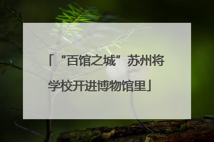“百馆之城”苏州将学校开进博物馆里