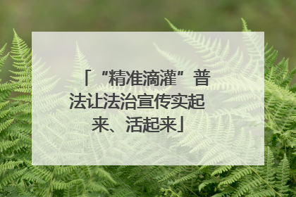 “精准滴灌”普法让法治宣传实起来、活起来