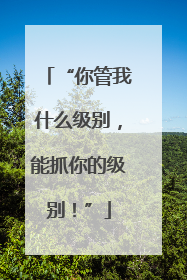 “你管我什么级别，能抓你的级别！”