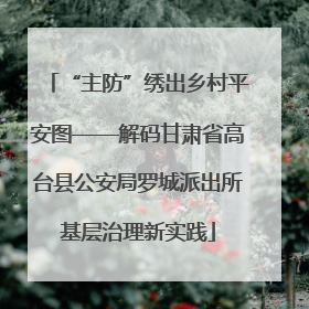 “主防”绣出乡村平安图——解码甘肃省高台县公安局罗城派出所基层治理新实践