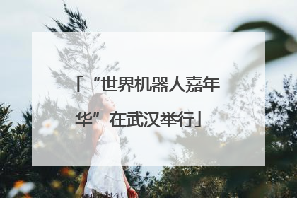 “世界机器人嘉年华”在武汉举行