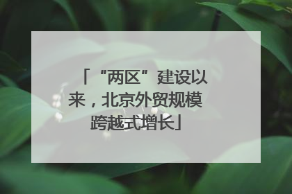 “两区”建设以来，北京外贸规模跨越式增长