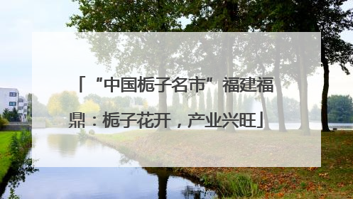 “中国栀子名市”福建福鼎：栀子花开，产业兴旺