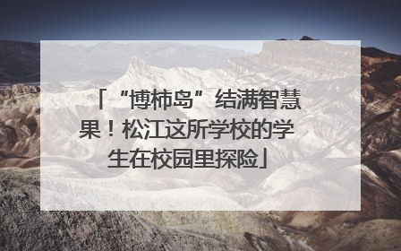 “博柿岛”结满智慧果！松江这所学校的学生在校园里探险