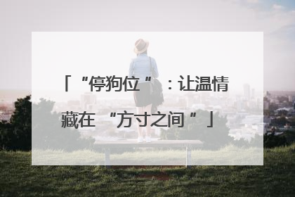 “停狗位 ”：让温情藏在 “方寸之间 ”