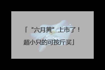 “六月黄”上市了！超小只的可按斤买