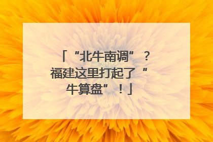 “北牛南调”？福建这里打起了“牛算盘”！
