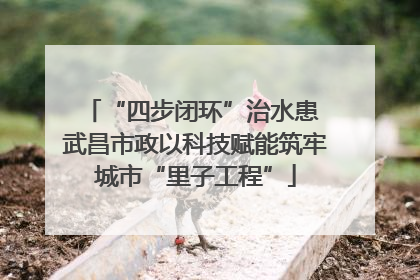 “四步闭环”治水患 武昌市政以科技赋能筑牢城市“里子工程”