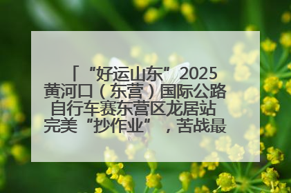 “好运山东”2025黄河口（东营）国际公路自行车赛东营区龙居站 完美“抄作业”，苦战最后时刻黄衫易主