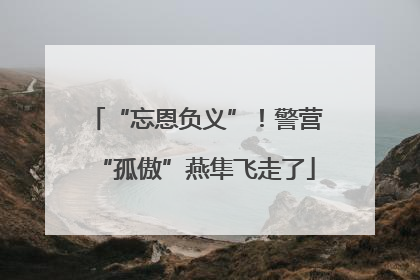 “忘恩负义”！警营“孤傲”燕隼飞走了