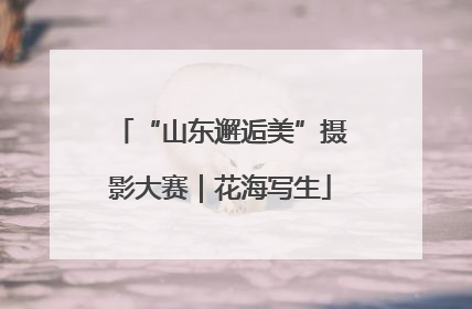 “山东邂逅美”摄影大赛｜花海写生