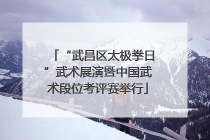 “武昌区太极拳日”武术展演暨中国武术段位考评赛举行