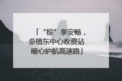 “棕”享安畅，桑植东中心收费站暖心护航高速路