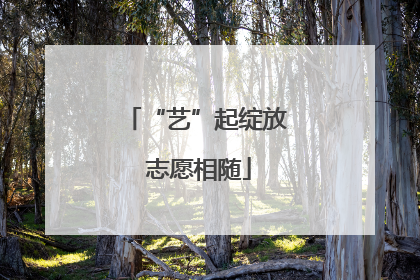 “艺”起绽放 志愿相随