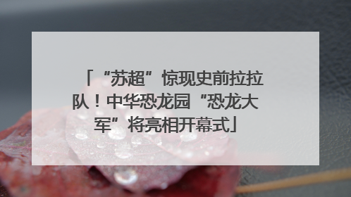 “苏超”惊现史前拉拉队！中华恐龙园“恐龙大军”将亮相开幕式