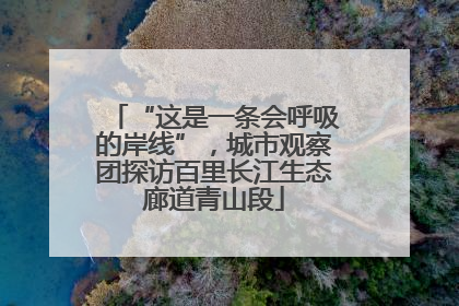 “这是一条会呼吸的岸线”，城市观察团探访百里长江生态廊道青山段