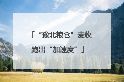 “豫北粮仓”麦收跑出“加速度”