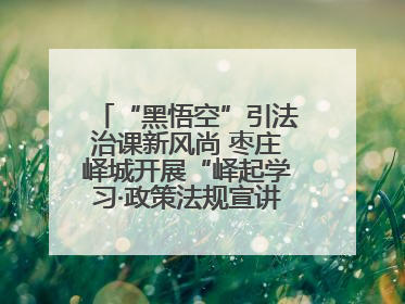 “黑悟空”引法治课新风尚 枣庄峄城开展“峄起学习·政策法规宣讲面对面”活动