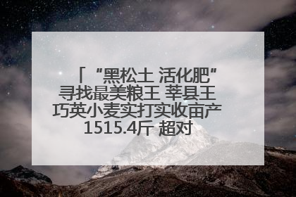 “黑松土 活化肥”寻找最美粮王 莘县王巧英小麦实打实收亩产1515.4斤 超对照田144斤！