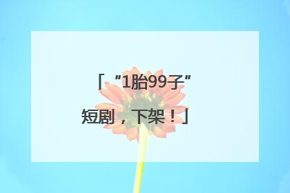 “1胎99子”短剧，下架！