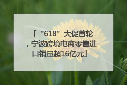“618”大促首轮，宁波跨境电商零售进口销量超16亿元