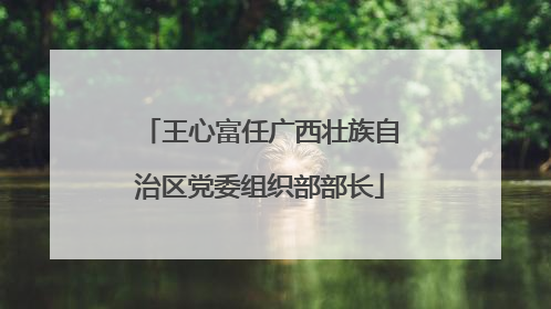 王心富任广西壮族自治区党委组织部部长