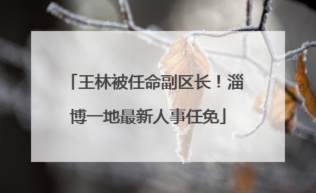 王林被任命副区长！淄博一地最新人事任免