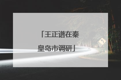 王正谱在秦皇岛市调研