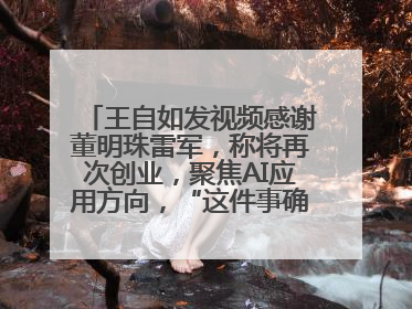 王自如发视频感谢董明珠雷军，称将再次创业，聚焦AI应用方向，“这件事确实来钱快”