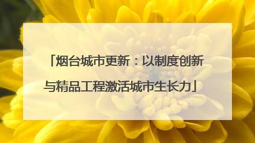 烟台城市更新：以制度创新与精品工程激活城市生长力