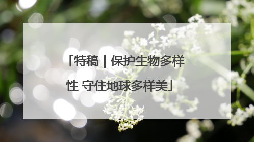 特稿｜保护生物多样性 守住地球多样美