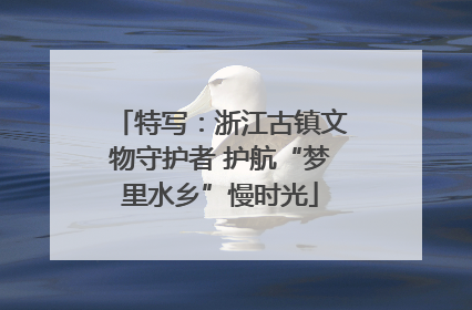 特写：浙江古镇文物守护者 护航“梦里水乡”慢时光