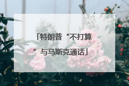 特朗普“不打算”与马斯克通话