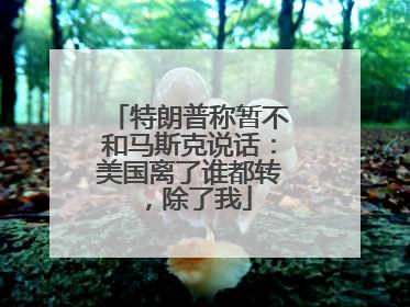特朗普称暂不和马斯克说话：美国离了谁都转，除了我