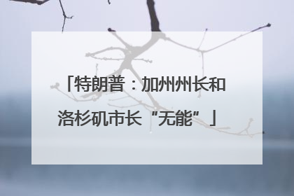 特朗普：加州州长和洛杉矶市长“无能”