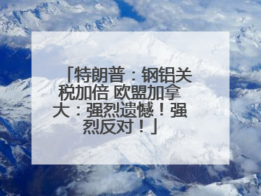 特朗普：钢铝关税加倍 欧盟加拿大：强烈遗憾！强烈反对！