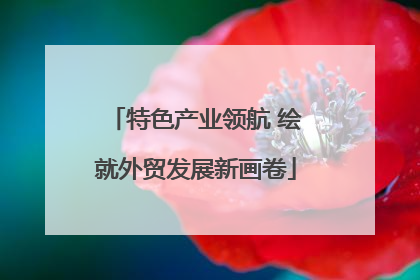 特色产业领航 绘就外贸发展新画卷