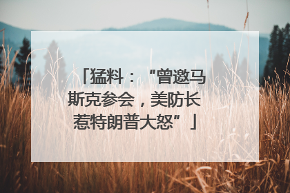 猛料：“曾邀马斯克参会，美防长惹特朗普大怒”