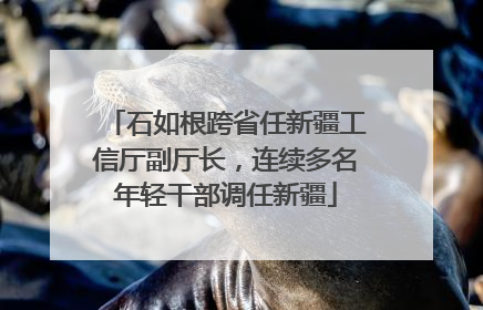 石如根跨省任新疆工信厅副厅长，连续多名年轻干部调任新疆