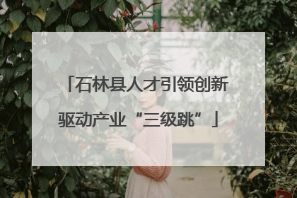 石林县人才引领创新驱动产业“三级跳”