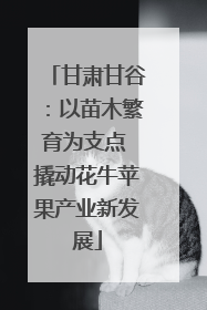甘肃甘谷：以苗木繁育为支点 撬动花牛苹果产业新发展