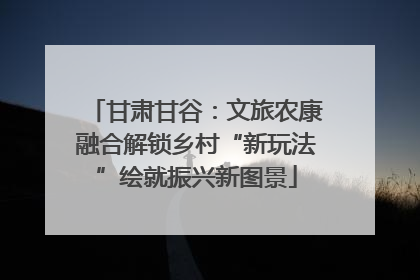甘肃甘谷：文旅农康融合解锁乡村“新玩法”绘就振兴新图景