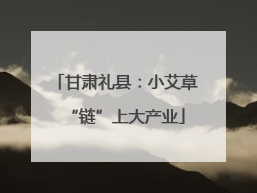 甘肃礼县：小艾草“链”上大产业