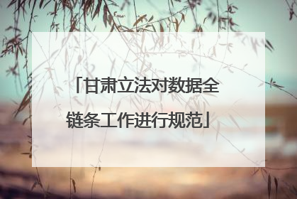 甘肃立法对数据全链条工作进行规范