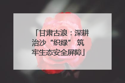 甘肃古浪：深耕治沙“织绿” 筑牢生态安全屏障